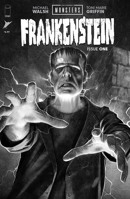 Universal Monsters Frankenstein #1 Cover D 1:25 Ratio - Telcomics