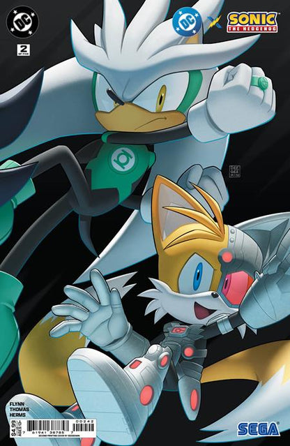 DC X Sonic The Hedgehog #2 Second Printing Deegeemin Connecting