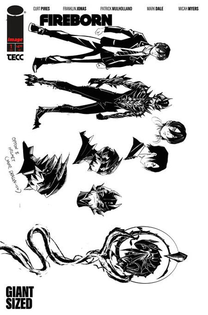 Fireborn #1 Cover F 1:15 Ratio Patrick Mulholland Design