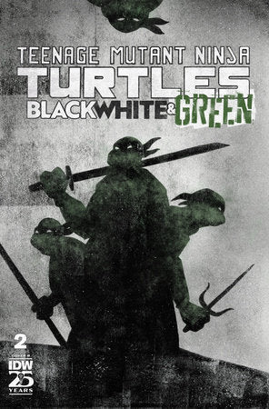 TMNT: Black, White, and Green #2 Cover B - Telcomics82771403298700221